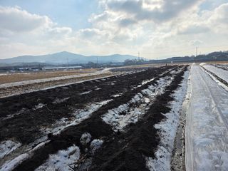 농부(홍)님의 고추 · 영농일지 작성글 사진