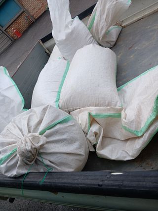 자기왕사랑해님의 콩 · 영농일지 작성글 사진