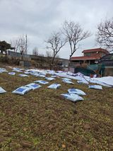 백현호님의 작성글 사진