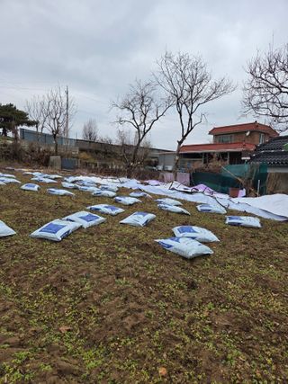 백현호님의 기타작물 · 영농일지 작성글 사진