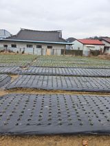 백현호님의 작성글 사진