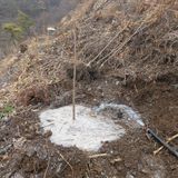 팜모닝 감·영농일지 게시글 이미지