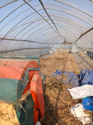 자기왕사랑해님의 콩 · 영농일지 작성글 사진