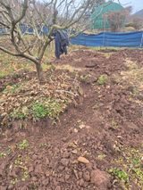 팜모닝 감·영농일지 게시글 이미지