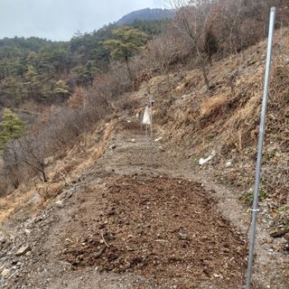 가로수님의 기타작물 · 영농일지 작성글 사진