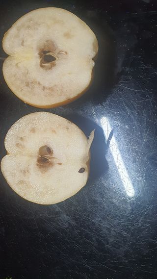 토마토17668님의 기타작물 · 영농일지 작성글 사진