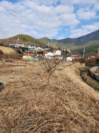 김영숙님의 복숭아 · 영농일지 작성글 사진