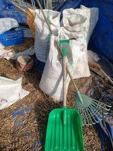 자기왕사랑해님의 작성글 사진