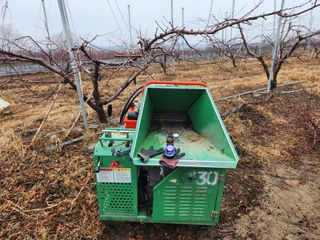 꿀복이농장님의 복숭아 · 영농일지 작성글 사진