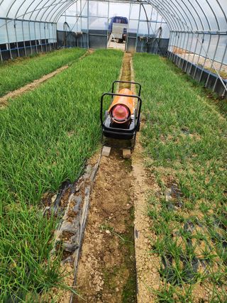 김저팔계님의 파 · 영농일지 작성글 사진