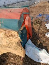 자기왕사랑해님의 작성글 사진