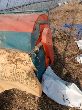 자기왕사랑해님의 콩 · 영농일지 작성글 사진