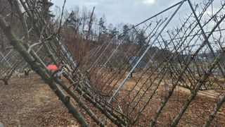 김준한님의 기타작물 · 영농일지 작성글 사진