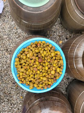 이용찬 열매마농원님의 매실 · 영농일지 작성글 사진