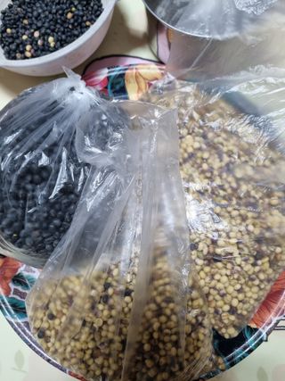 논산푸른팜님의 콩 · 영농일지 작성글 사진