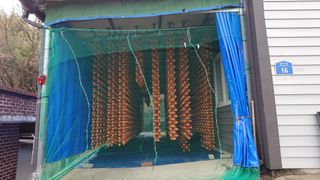 이순기님의 감 · 영농일지 작성글 사진