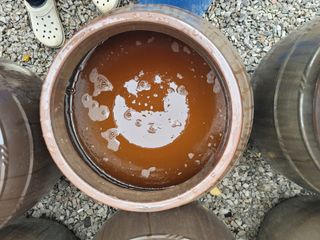 이용찬 열매마농원님의 매실 · 영농일지 작성글 사진