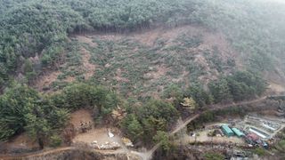 조동식님의 기타작물 · 영농일지 작성글 사진