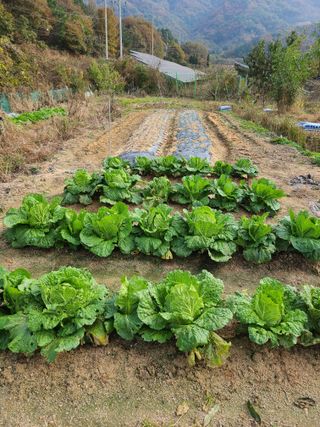 귤8640님의 작성글 사진