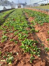 최유순님의 작성글 사진