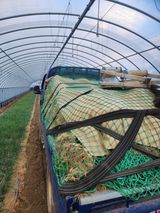 팜모닝 파·영농일지 게시글 이미지