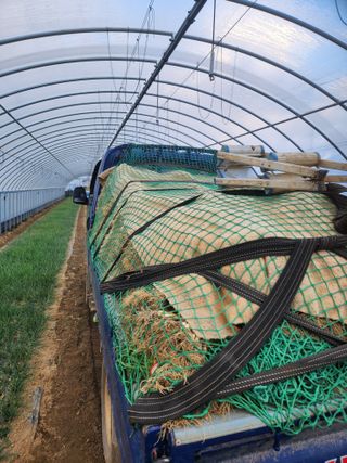 김저팔계님의 파 · 영농일지 작성글 사진