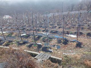 무주김근중님의 작성글 사진