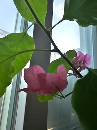 이미옥님의 작성글 사진