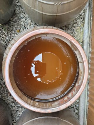 이용찬 열매마농원님의 매실 · 영농일지 작성글 사진