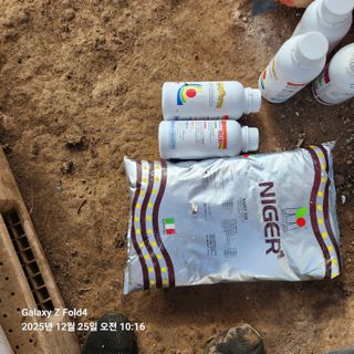 김성훈님의 기타작물 · 영농일지 작성글 사진