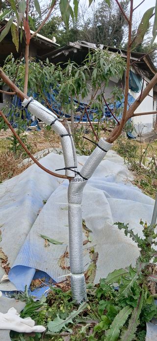 평상심님의 복숭아 · 영농일지 작성글 사진