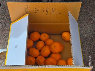 Captain김상곤님의 작성글 사진