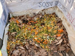 김홍중님의 기타작물 · 영농일지 작성글 사진