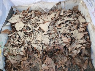 김홍중님의 기타작물 · 영농일지 작성글 사진