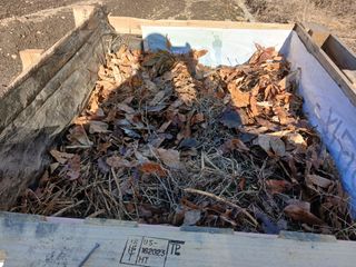 김홍중님의 기타작물 · 영농일지 작성글 사진