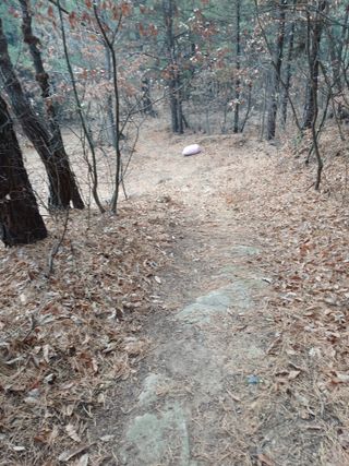 전원수님의 기타작물 · 영농일지 작성글 사진