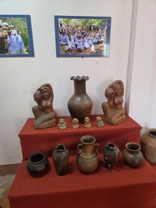 최동수님의 기타작물 · 영농일지 작성글 사진