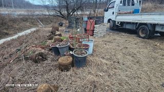 장정규님의 복숭아 · 영농일지 작성글 사진