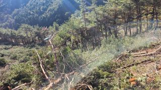 조동식님의 두릅 · 영농일지 작성글 사진