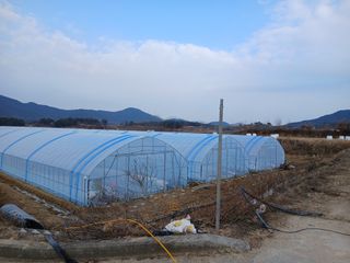 조영임님의 기타작물 · 영농일지 작성글 사진