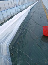 팜모닝 기타작물·영농일지 게시글 이미지