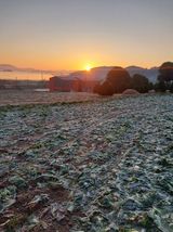 팜모닝 기타작물·영농일지 게시글 이미지