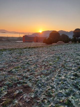 김성환님의 기타작물 · 영농일지 작성글 사진