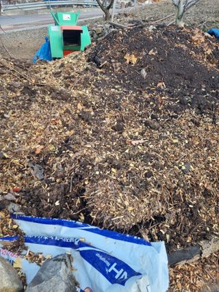 김용대님의 감 · 영농일지 작성글 사진