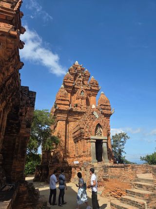 최동수님의 기타작물 · 영농일지 작성글 사진