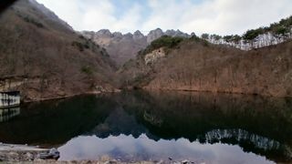 이상철님의 기타작물 · 영농일지 작성글 사진