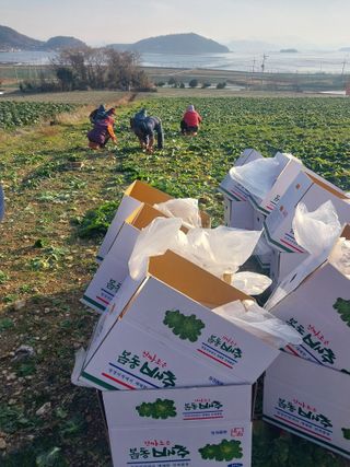 김성환님의 기타작물 · 영농일지 작성글 사진