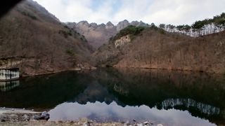 이상철님의 기타작물 · 영농일지 작성글 사진