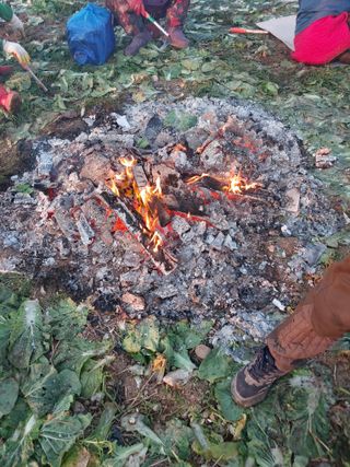 김성환님의 기타작물 · 영농일지 작성글 사진