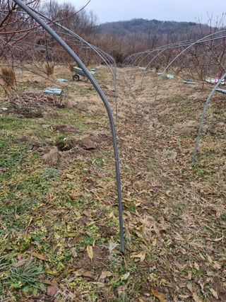 논산푸른팜님의 복숭아 · 영농일지 작성글 사진